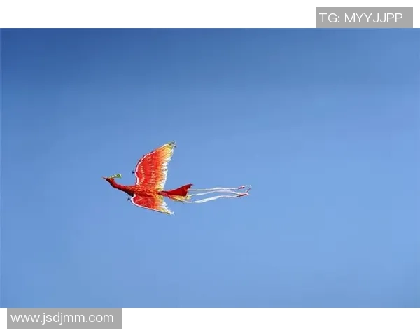 飞马与自由的较量究竟何时开赛让我们拭目以待